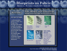 Tablet Screenshot of blueprintsonfabric.com